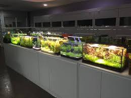 Similar to subang branch, we host various types of event from training, meeting, brainstorming, media launch, press conference, fashion show, exhibition. Aquascape Paradise Sec 13 Shah Alam Aquascape Paradise Facebook