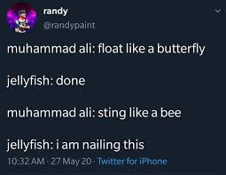 Float like a butterfly sting like a bee. Float Like A Butterfly Sting Like A Bee Whitepeopletwitter