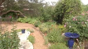 In most areas of texas, it is possible to have a fall vegetable garden also, but it will need to be managed somewhat differently than a spring garden. Drought Tips For Planting Wildflowers Native Plants And Seeds Central Texas Gardener