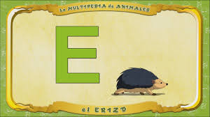 Multipedia De Los Animales Letra E El Erizo Youtube