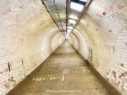 Image result for karp ln  tunel ort za