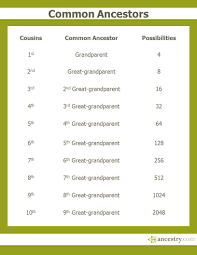 Working Chart 1 Metre Family Genealogy Ancestry Dna