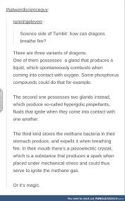 3 Types Of Dragons Funsubstance Writing Prompts Types Of Dragons Writing