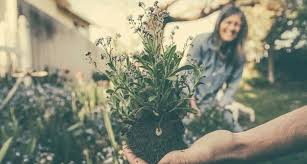 Berikut beberapa ide dan tips yang bisa kamu coba sendiri! Ngetren Saat Psbb Begini Cara Berkebun Di Rumah