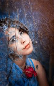 Shield Of Excellence