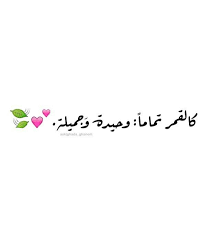وحيدة وجميلة كالقمر funny arabic quotes words quotes arabic quotes