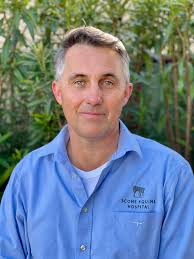 Scone Equine Hospital