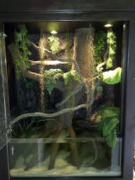 The Green Tree Python Pictured Here In One Of Hp Customs Gtp Aquarium Enclosures Has Been Seen Swimming And Drinkin Reptile Habitat Snake Terrarium Green Trees