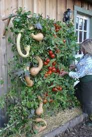13 Simple Ways To Eat Your Yard And Build Food Security Vertical Garden Vertical Vegetable Garden Edible Garden