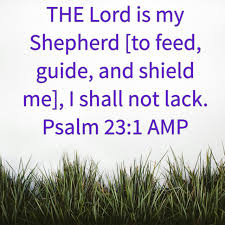 Psalm 23:3 he restoreth my soul: Psalm 23 1 Amp Psalms Psalm 23 Lord Is My Shepherd