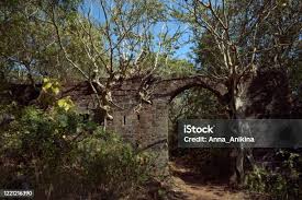 Ruins Of A Dutch Factory Or Fort At ...