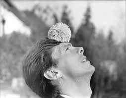 Sifonkihuivit, Dingo, Hittibuumi