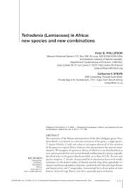 Image result for Tetradenia tanganyikae