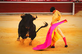 Toros en Cali – Avance Taurino