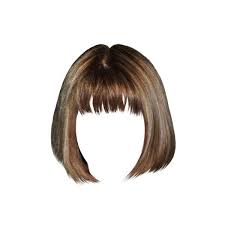 Hairstyles Liked On Polyvore Featuring Hair Hair Png Hair Illustration Hair Vector