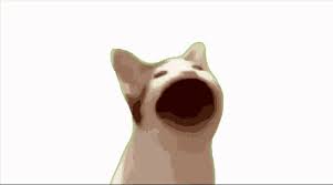 Check spelling or type a new query. Pop Cat Gif Pop Cat Meme Discover Share Gifs