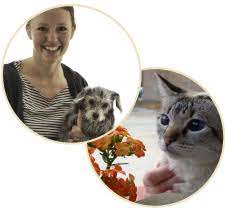 The madison, wi pets for vets chapter is a small dedicated group who share one common goal. Erica Hellestad Dvm Whole Pet Veterinary Clinic Madison Wi