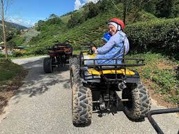 Ketika itu saya di tingkatan 3 menyertai rombongan sekolah dengan menaiki bas. Tunggang Atv Di Ladang Teh Idea Beriadah Di Cameron Highlands Cara Berbeza Libur