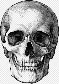 Using three curved lines that join at approximately right angles, enclose the lower mouth portion of the skull. Drawing Skull Fun Stuff To Draw Art Sketch Skulls Pencil People Monochrome Png Pngwing