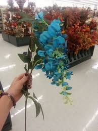 Text archives dates range from 1981 to today for the philadelphia inquirer and 1978 to today for the philadelphia daily news Teal Flowers From Hobby Lobby Teal Flowers Flowers Wedding