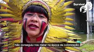 @SurvivalBrasil's video Tweet