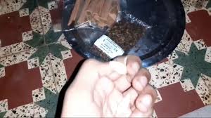 Reviewed by shivani aswal sharma, nutritionist, diabetes educator, and yoga trainer february 1, 2021 by arpita biswas. Dalchini Kaisi Hoti Hai Dalchini Ke Fayde Dalchini Khane Se Kya Hota Hai Dalchini Khane Ke Fayde Youtube