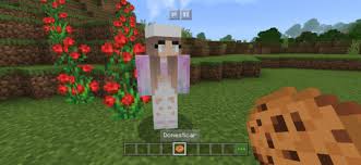 As an avid minecraft player, i've recently become obsessed with forge minecraft mods and run a survival multiplayer server (smp)!. Top 10 Minecraft Best Npc Mods That Are Awesome Gamers Decide