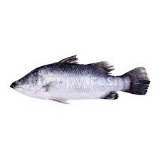For the british band, see red snapper (band). Buy Seabass M Ikan Siakap At Village Grocer Happyfresh