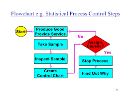 Total Quality Management Principles