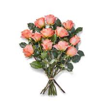 We did not find results for: Buy Floral Products At Whole Foods Market