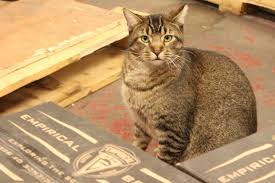 A group of volunteers trained by the nyc feral cat initiative traps wild cat colonies that have become a nuisance or been threatened by construction, then spays. Stray Cats Guard Chicago Brewery Protect Precious Beer Grain From Rats Ravenswood Chicago Dnainfo