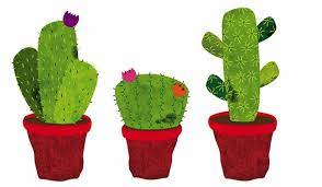 Cactus flower online free where to watch cactus flower cactus flower movie free online Pin On Illustration