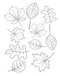 The colors on the leaves are turning from green to yellow to red. Leaf Coloring Page 60 Autumn Images For Free Printing