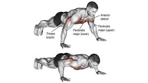 chest exercises without weight forms