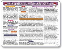 Safe Herbs And Homeopathic Remedies For Pet Chickens