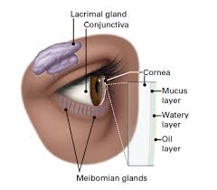 dry eyes glaucoma care center a