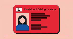 She is in the process of changing it to a uk one but we are warned with the current situation this might take a lot longer than. Can I Get Car Insurance With A Provisional Driving Licence Learner Driver Hub Adrian Flux