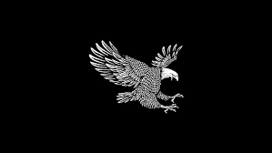 hd wallpaper white eagle vector clip
