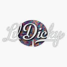 Amazon.com: Lil Dicky - Logo Sticker Vinyl Waterproof Sticker Decal Car  Laptop Wall Window Bumper Sticker 5 : Automotive