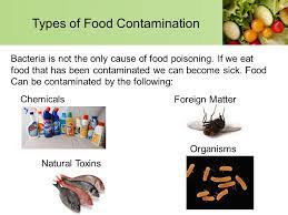 Chemical contaminants are one of the serious sources of food contamination. Food Safety And Contamination Ppt Video Online Download