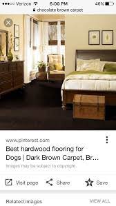 chocolate brown carpet yes or no