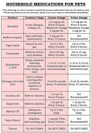 Benadryl Dosage Chart For Cats Google Search Meds For