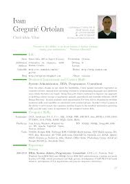 Academic CV example Resume Cv Template Examples   WordPress com A concise and attention grabbing test manager CV template 