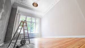Plaster Walls What To Know Before You Buy