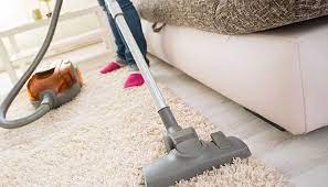 home carpet cleaner kalamazoo