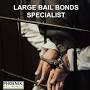 Phoenix Bail Bonds from phoenixbailbonds.co