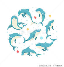 dolphin banner template marine sea