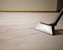 david s carpet cleaning professional