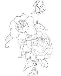 My little pony mother and son coloring. Hydrangea And Peonies Coloring Pages Flower Coloring Pages Coloring Pages Flower Drawing