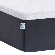 A great mattress pad can make your comfortable bed into a sleep haven! Sealy Conform Essentials 12 Twin Medium Soft Memory Foam Mattress In A Box From Sears Accuweather Shop